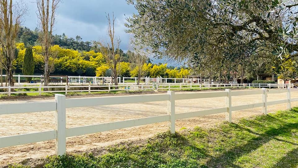 Photo cenrtre Equestre