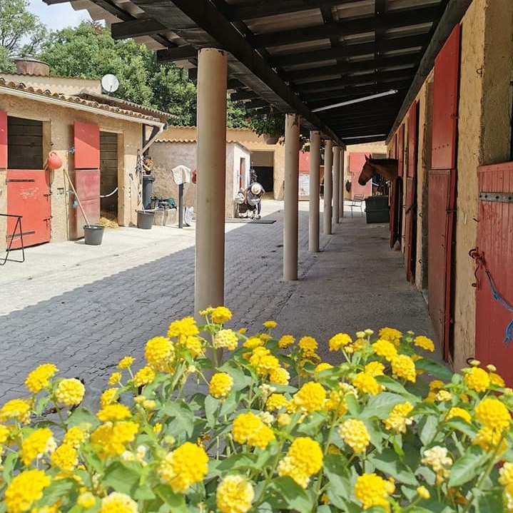 photo centre equestre